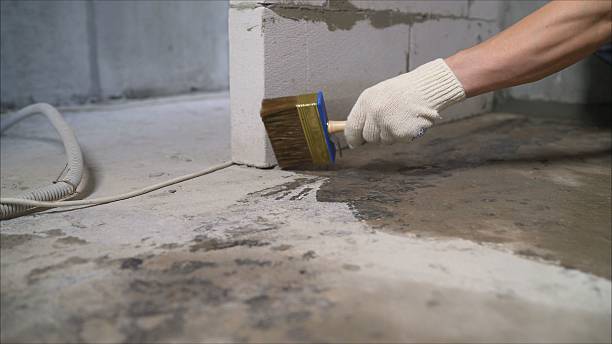 SJ Waterproofing Pros Waterproofing coverage map for Bloomingdale, IL and surrounding area